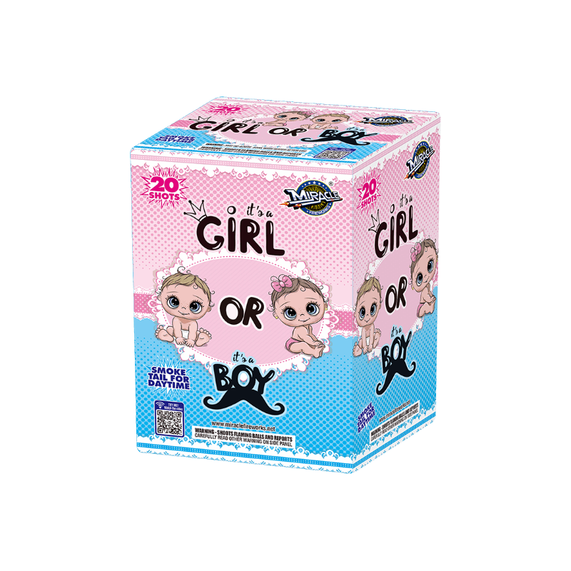 BOY OR GIRL 20-SHOT GENDER REVEAL CAKE