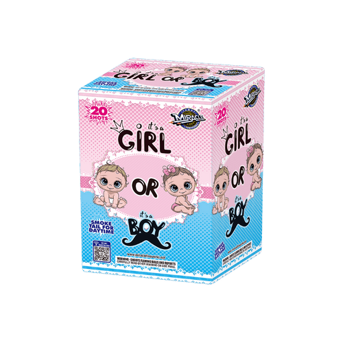 BOY OR GIRL 20-SHOT GENDER REVEAL CAKE