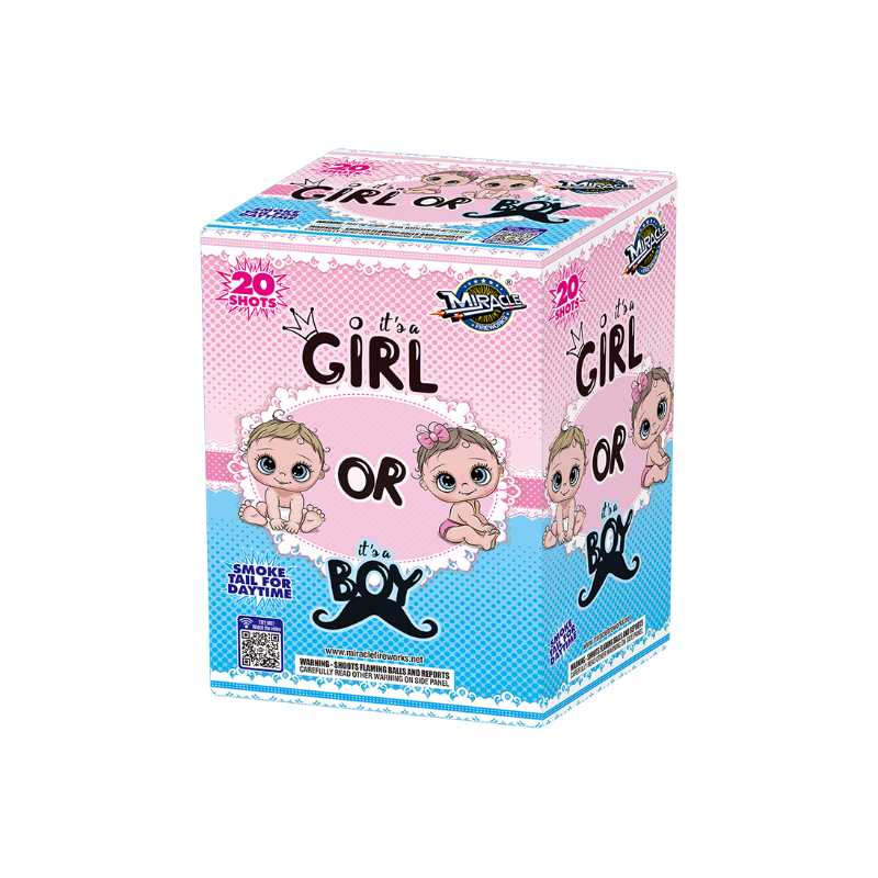 BOY OR GIRL 20-SHOT GENDER REVEAL CAKE