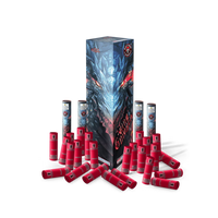 RACCOON® - KING DRAGON 6″ CANISTER SHELLS 24 SHOT