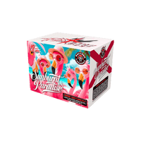 RACCOON® - SUNBURNT PARADISE 12 SHOT CAKE