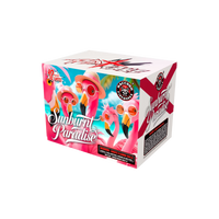 RACCOON® - SUNBURNT PARADISE 12 SHOT CAKE