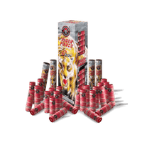 RACCOON® - TIGER FORCE 6″ CANISTER SHELLS 24 SHOT